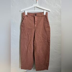 Everlane Rust Utility Pants